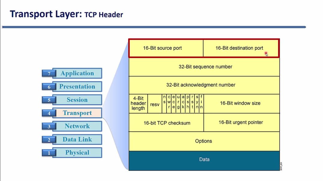 ⁣Bài 15: Tham số Port nguồn, Port đích trong UDP và TCP