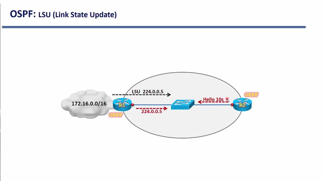 ⁣Bài 26: Giao thức định tuyến động OSPF - Phần 7. Hello Timer và Dead Timer trong OSPF